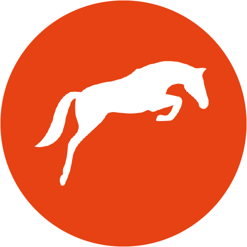 sport-horses-icon