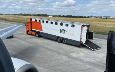 Les préparatifs essentiels pour transporter des chevaux par avion