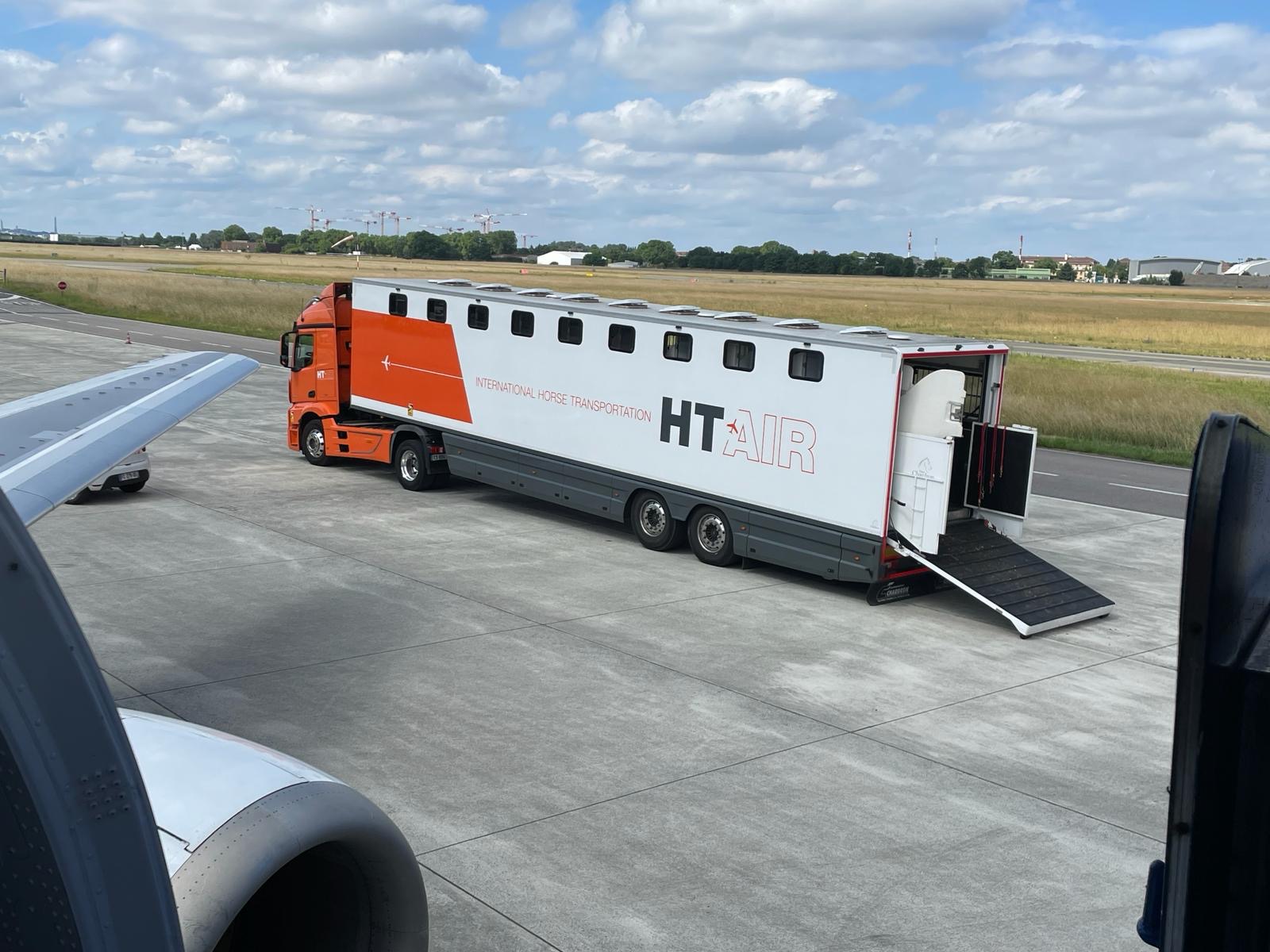 transporter des chevaux par avion